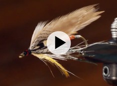 Fly Fishing Tips: How to Tie the Grey Ghost